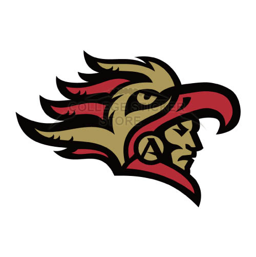 Homemade San Diego State Aztecs Iron-on Transfers (Wall Stickers)NO.6099